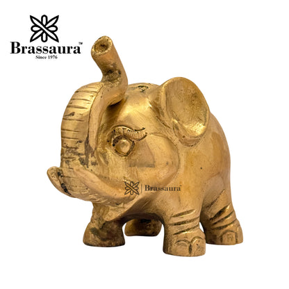 Brass Elephant Idol for Home and Decor Weight 1 Kg Height 9 cm