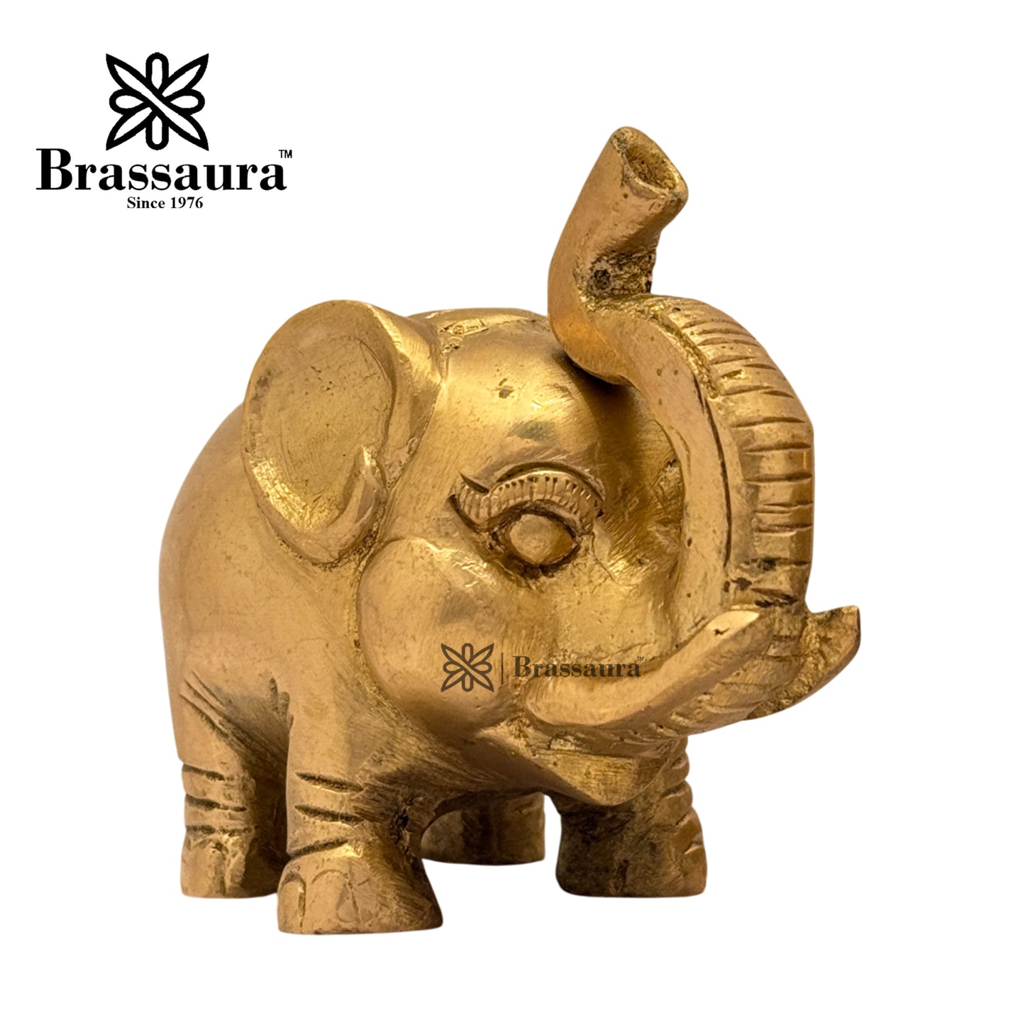 Brass Elephant Idol for Home and Decor Weight 1 Kg Height 9 cm