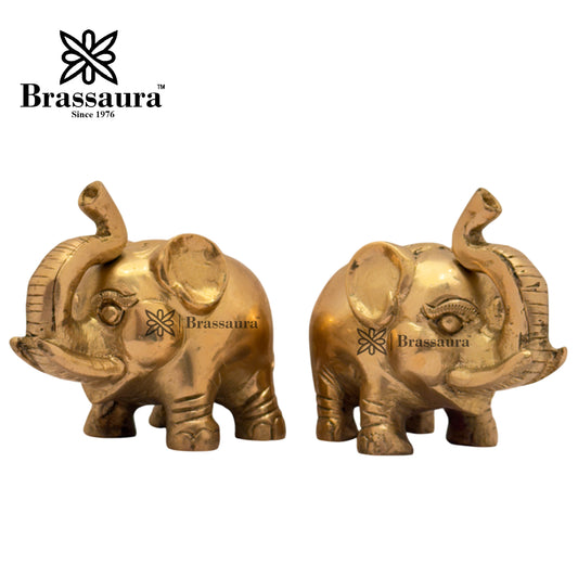 Brassaura® Brass Elephant Idol | Handcrafted Decorative Showpiece | Height 3.5 Inches & Weight 1 Kg