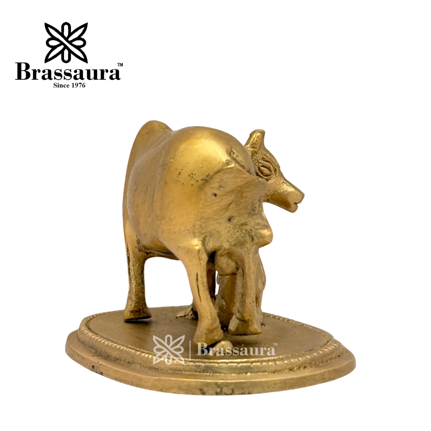 Brass Kaamdhenu Cow Idol for Home and Decor Weight .350 Kg Height 6 cm