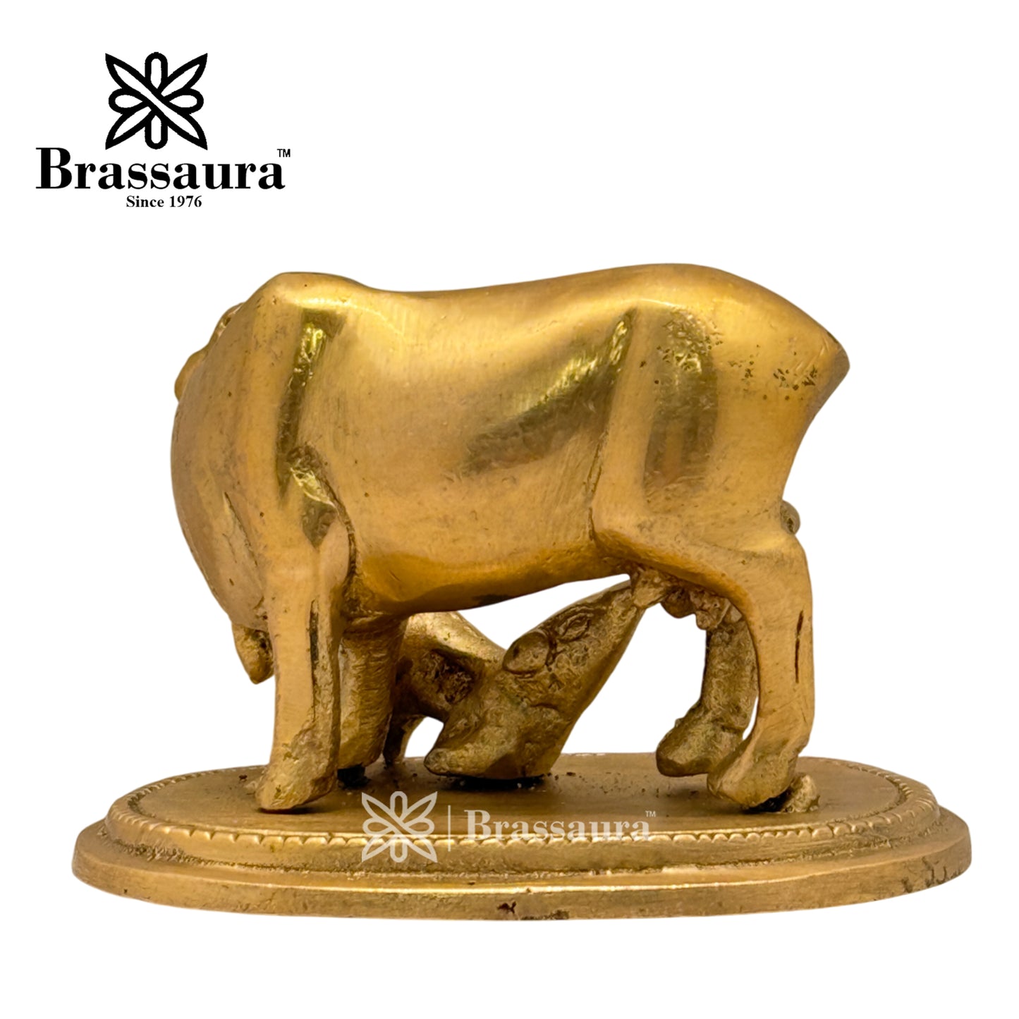 Brass Kaamdhenu Cow Idol for Home and Decor Weight .350 Kg Height 6 cm