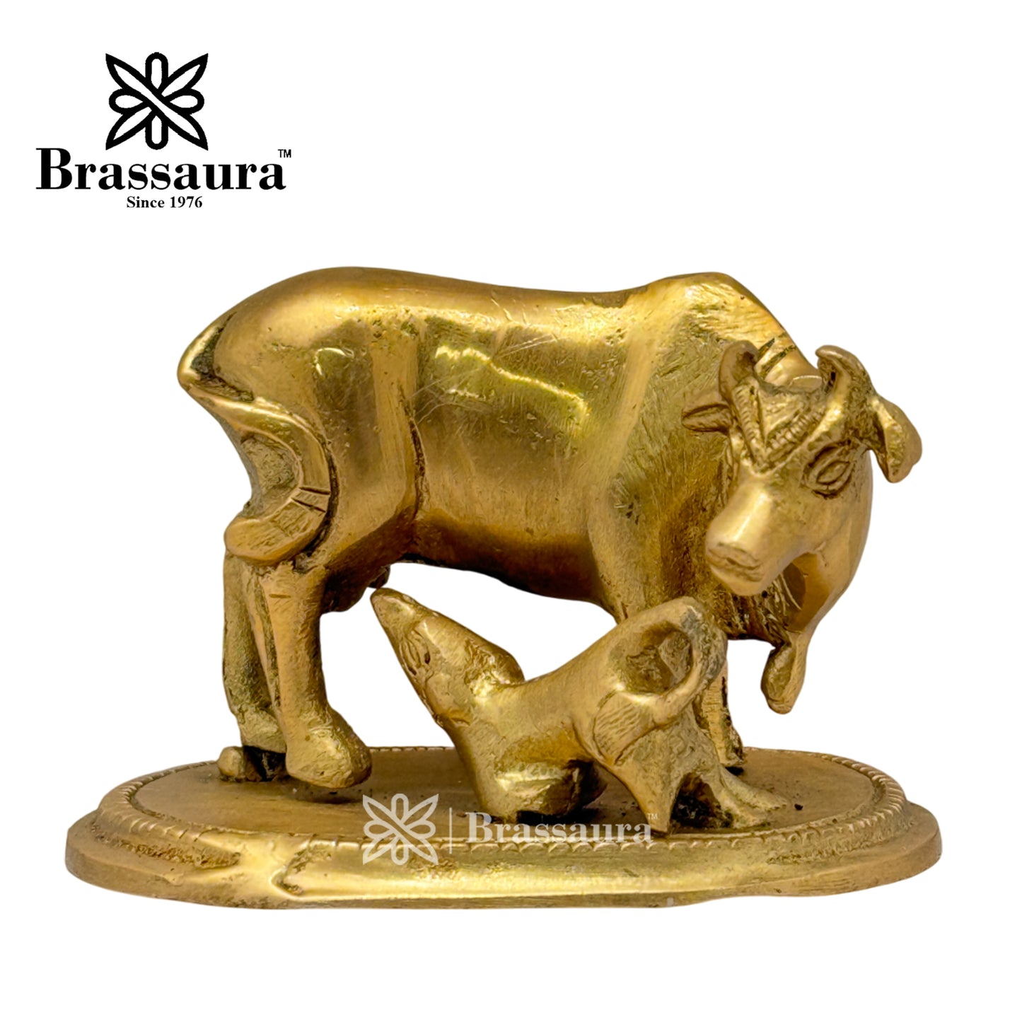 Brass Kaamdhenu Cow Idol for Home and Decor Weight .350 Kg Height 6 cm