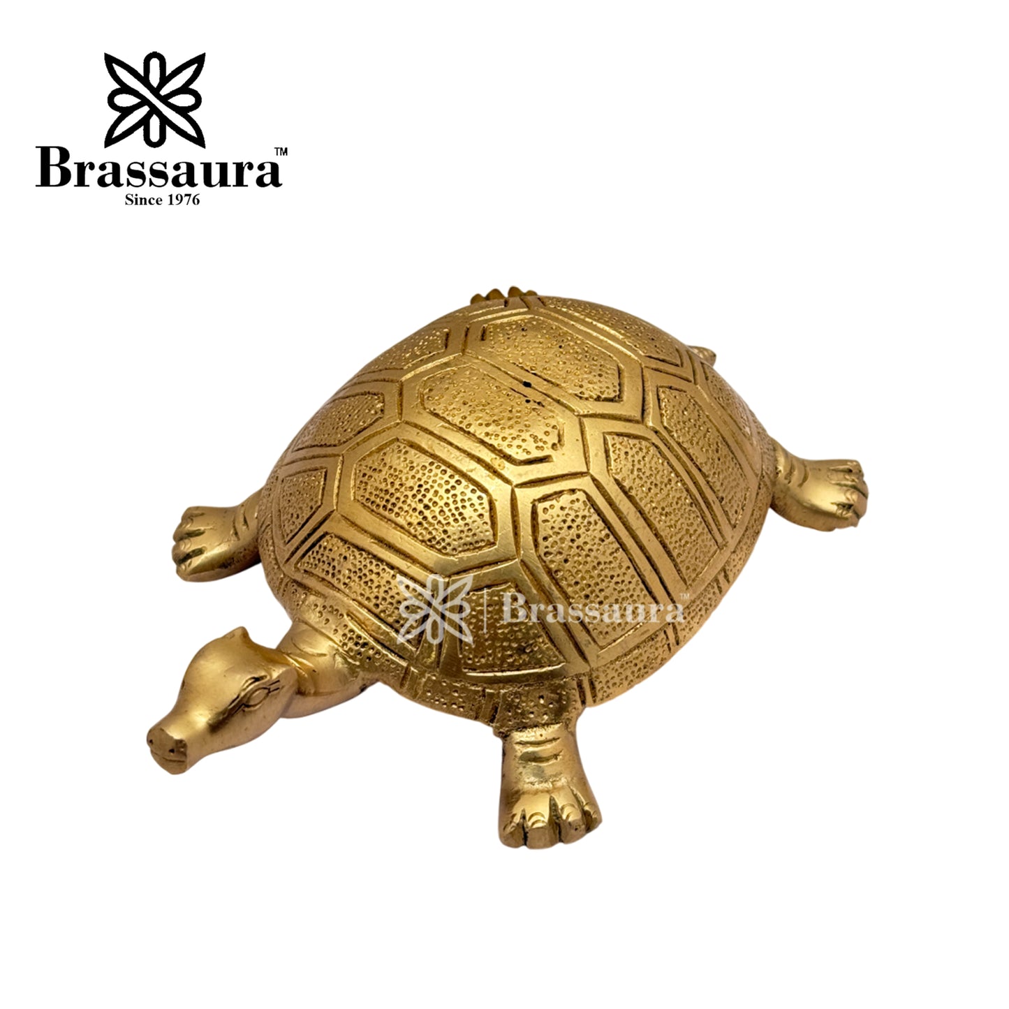 Brass Turtle Idol for Home and Decor Weight 1 Kg Height 5 cm