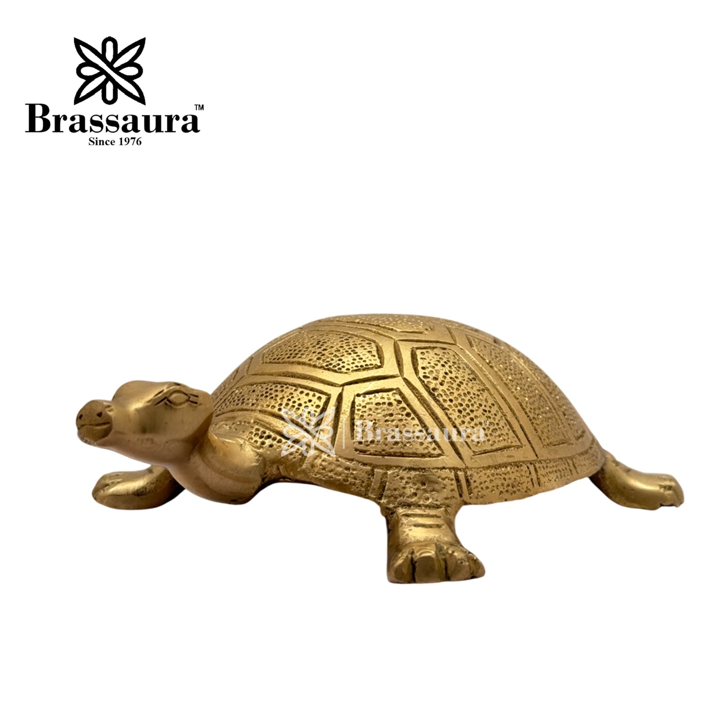 Brass Turtle Idol for Home and Decor Weight 1 Kg Height 5 cm