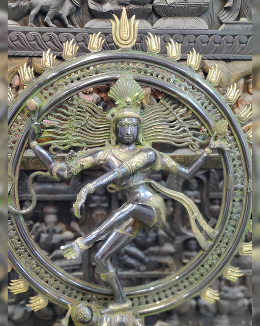 Brassaura™ Large Handcrafted Superfine Brass Nataraja Statue | Height 42 Inches & Weight 38 Kgs