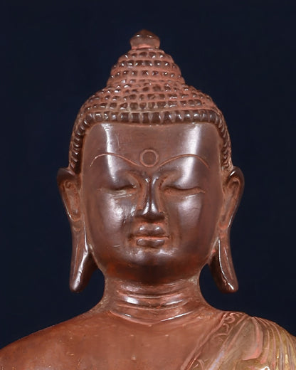 Brass Bhumisprasa Vintage Buddha Statue Weight 2.730 kg & Height 9.5 Inch