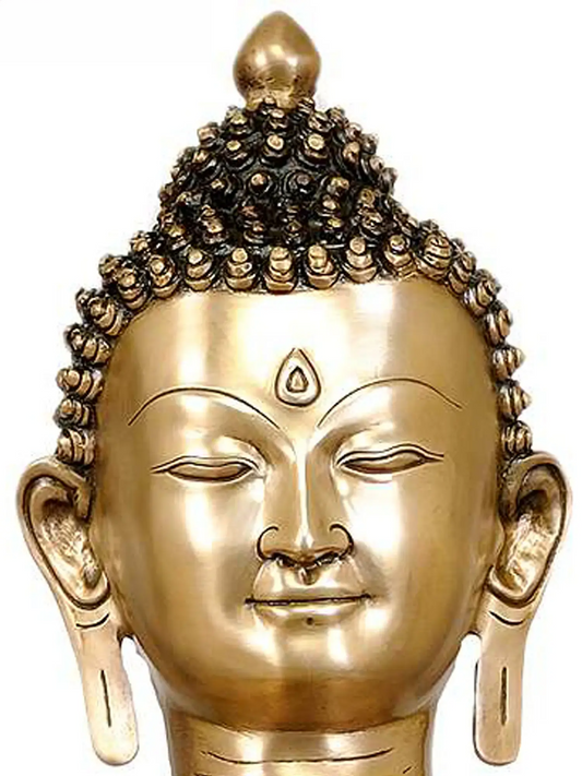 ब्रैसौरा® कमल के डंठल के साथ बैठे बुद्ध | शुद्ध पीतल | ऊँचाई 38 इंच और वज़न 46 किलोग्राम