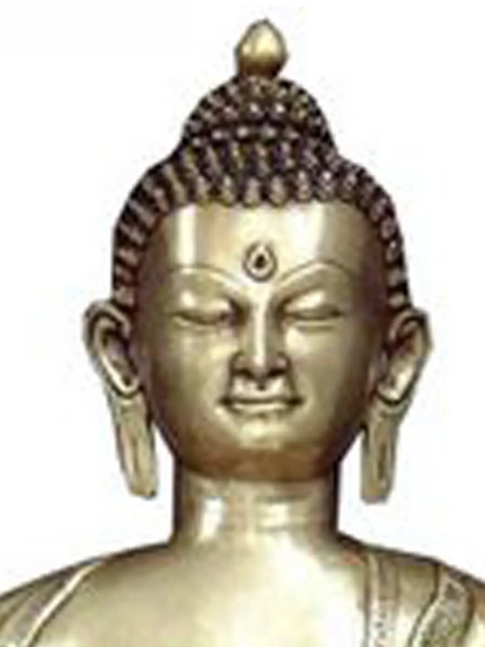 ब्रैसौरा® कमल के डंठल के साथ बैठे बुद्ध | शुद्ध पीतल | ऊँचाई 38 इंच और वज़न 46 किलोग्राम