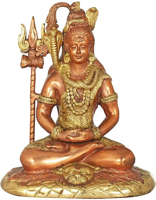 Brassaura® Brass Shiva Statue | Height 10.4 Inches & Weight 3.70 kg