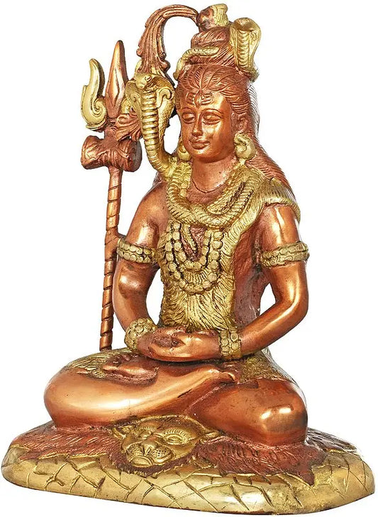 Brassaura® Brass Shiva Statue | Height 10.4 Inches & Weight 3.70 kg