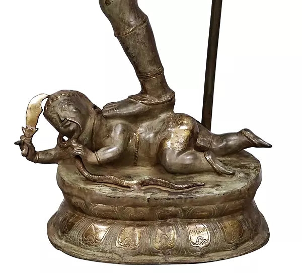 Brassaura® ब्रास नटराज प्रतिमा | ऊंचाई 57.1 इंच और वजन 91 किग्रा